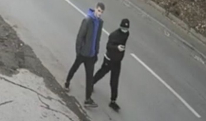 В Иркутске неизвестные украли шубу из машины