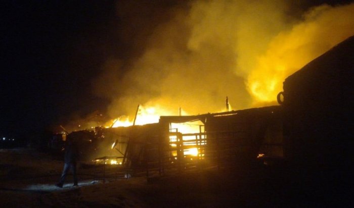 В Тулуне сгорели мельница и склад с мукой