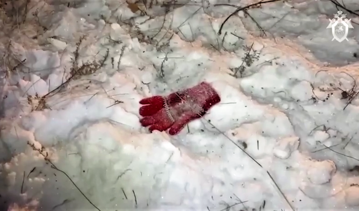 В забайкальском селе бездомные собаки загрызли насмерть семилетнюю девочку (Видео)