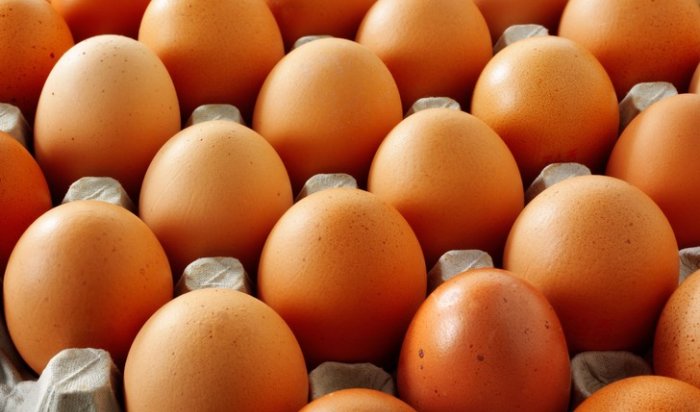 Птицефабрики начали уведомлять ритейлеров о повышении стоимости яиц