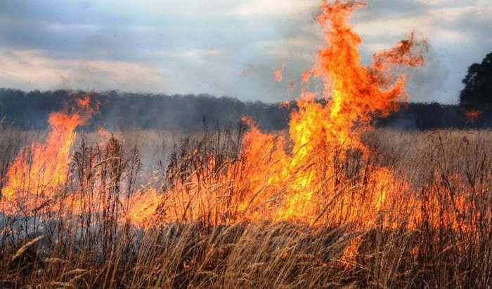 В Иркутске загорелась авторазборка из-за пала травы (Видео)