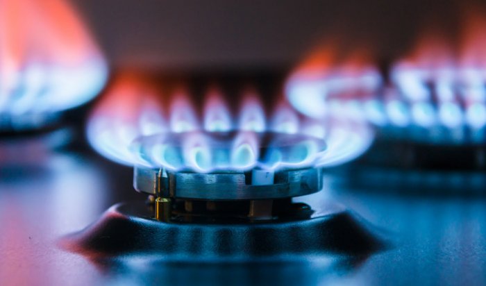 Страны ЕС планируют совместно закупать газ для снижения зависимости от России