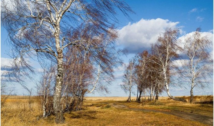 1 апреля в Иркутске ожидается усиление ветра