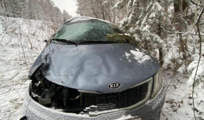 4 апреля из-за снегопада в Иркутском районе в ДТП пострадала женщина