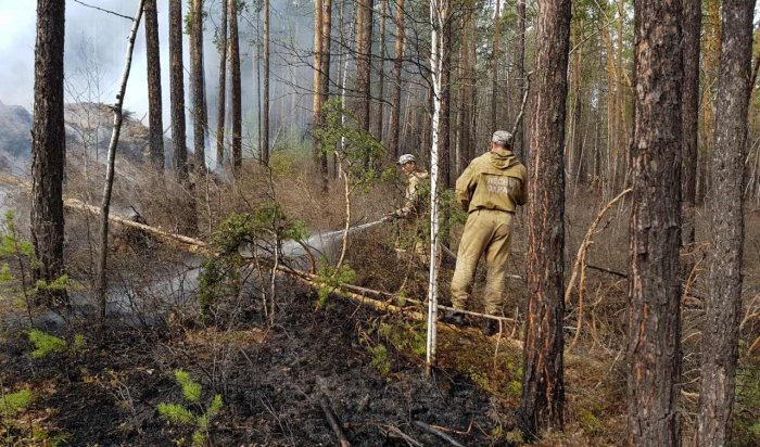 За сутки в Иркутской области ликвидировали четыре пожара