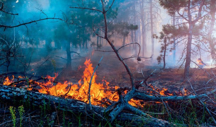В Иркутской области ликвидировано два лесных пожара