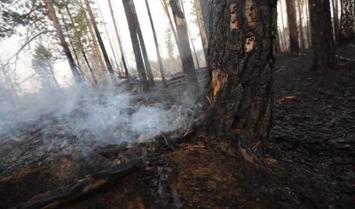 За прошедшие сутки в Иркутской области ликвидировано два лесных пожара