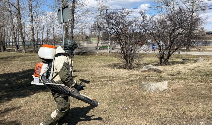 В Иркутске проводят противоклещевую обработку городских территорий