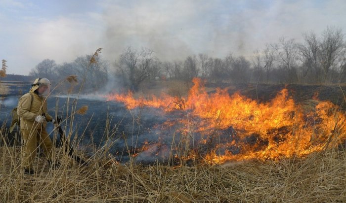 В Иркутской области за минувшие сутки ликвидировано 20 лесных пожаров
