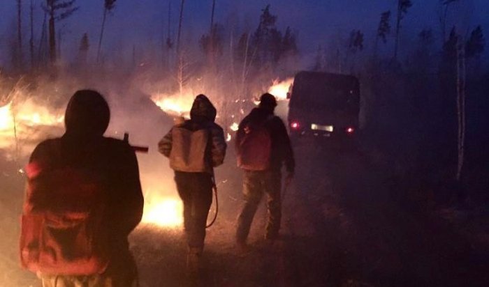 За прошедшие сутки в Иркутской области потушено 17 лесных пожаров