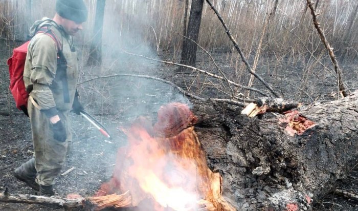 Ликвидировано 16 пожаров за минувшие сутки в лесном фонде в Иркутской области