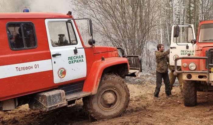 За сутки в Иркутске ликвидировали 13 лесных пожаров