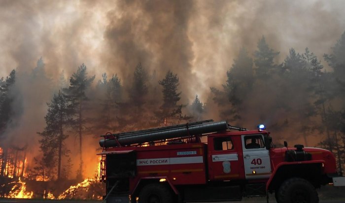 12 пожаров ликвидировано за минувшие сутки в лесном фонде в Иркутской области