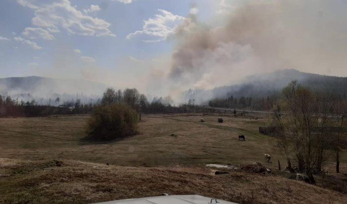 19 пожаров ликвидировано за минувшие сутки в лесном фонде Иркутской области