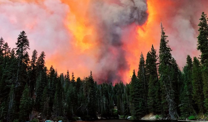Иркутская область занимает второе место по площади лесных пожаров