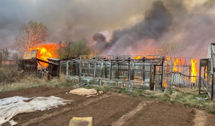 Уголовное дело возбуждено из-за крупного пожара в садоводстве Братского района