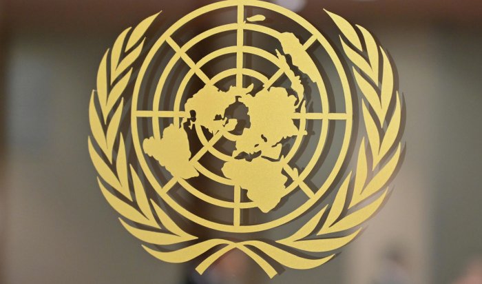 ООН: С начала военной операции погибли 3811 мирных жителей Украины