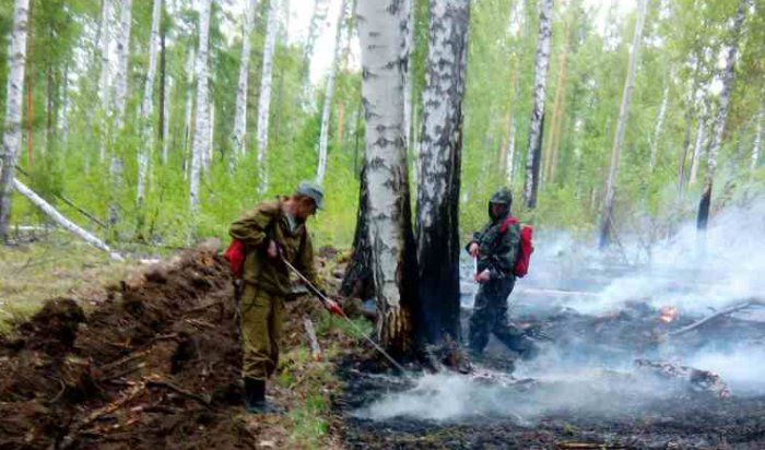 За прошедшие сутки в Иркутской области потушено 16 лесных пожаров