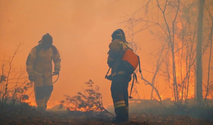 24 мая правительство Иркутской области проведет прямой эфир о ситуации с пожарами