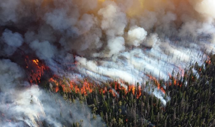 Губернатор Иркутской области подвел итоги первой части пожароопасного сезона