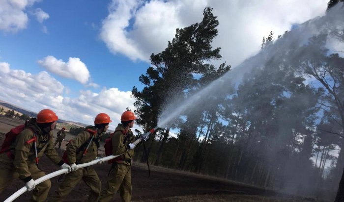 В Иркутской области площадь лесных пожаров составляет 3 393 га