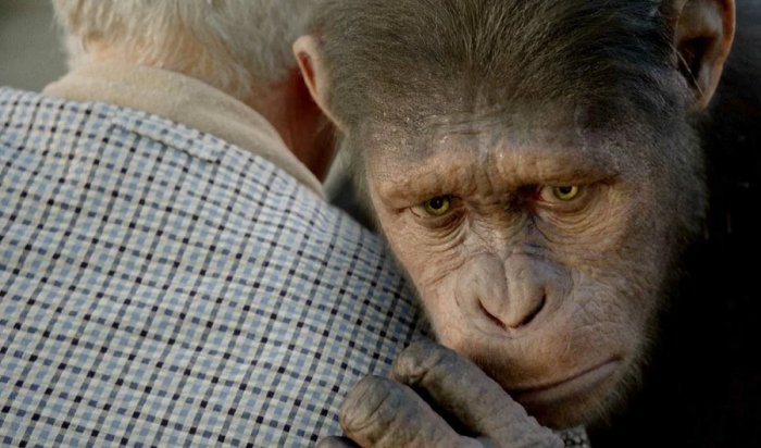 ВОЗ: В мире зафиксированы 257 случаев заражения оспой обезьян