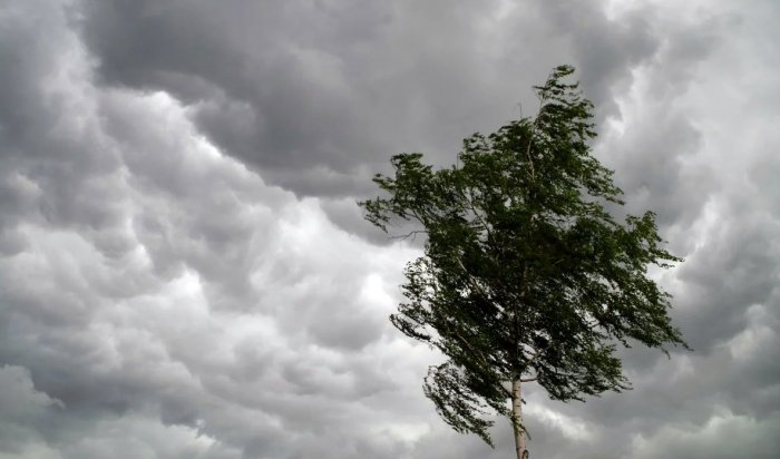 Дождь, грозы, ветер и заморозки ожидаются 3 июня в Приангарье
