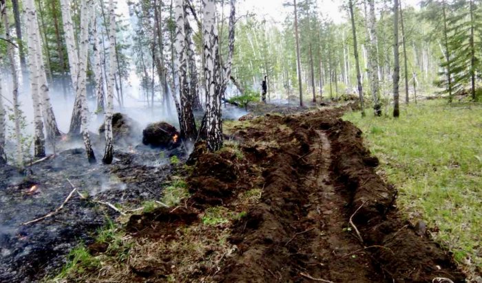 В Иркутской области действует один лесной пожар
