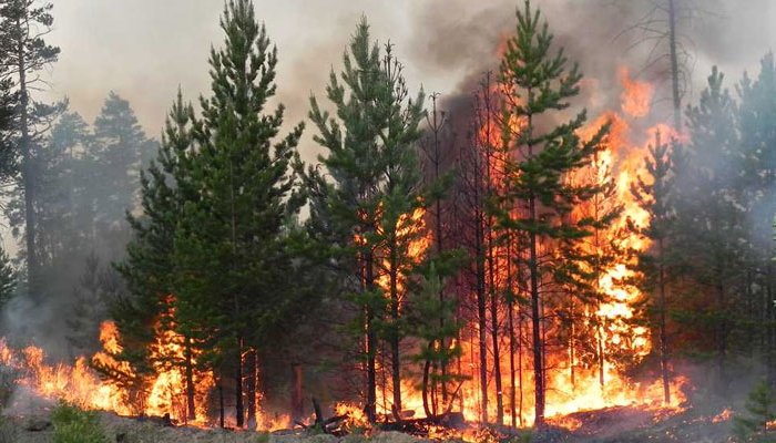 Два лесных пожара действуют в Иркутской области