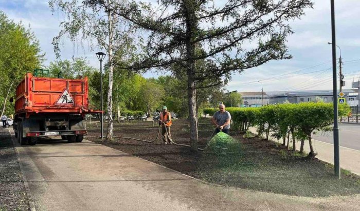 В Иркутске начали гидропосев газонов