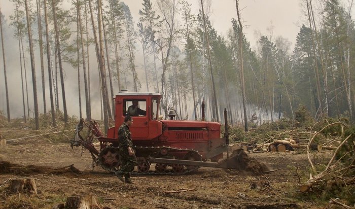 В Иркутской области лесные пожары занимают 383,5 га