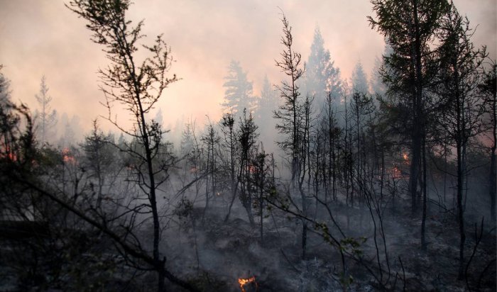 В Иркутской области нет действующих пожаров