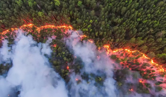 Три лесных пожара действуют в Иркутской области