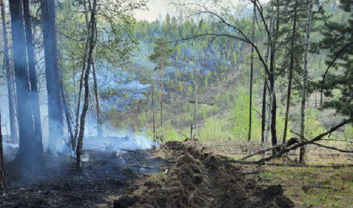 В Иркутской области горит 640,7 га леса