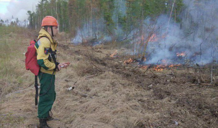 21 лесной пожар действует в Иркутской области