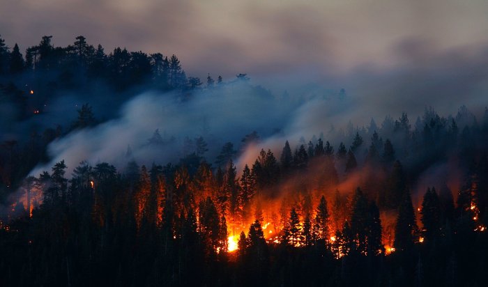 11 лесных пожаров действуют в Иркутской области