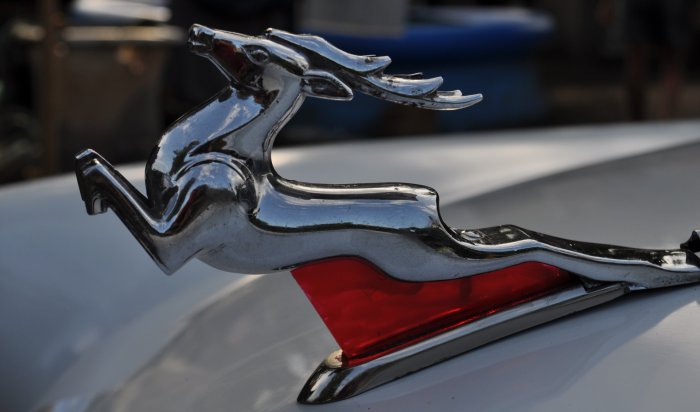 В России планируют возродить автомобильные бренды «Волга» и «Победа»