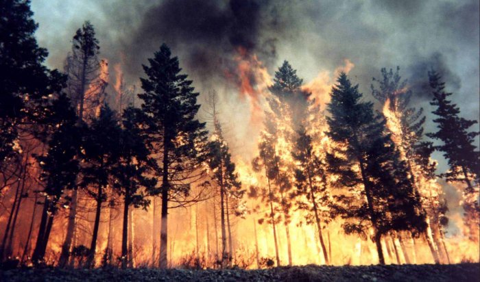 Два лесных пожара действуют в Иркутской области