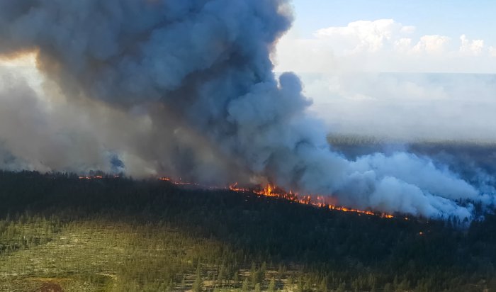Два лесных пожара действовали в Иркутской области утром 24 июня