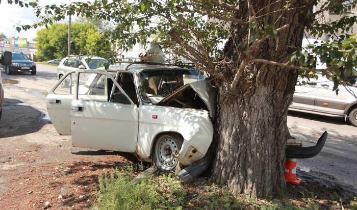Водитель «Волги» врезался в дерево на улице Рабочего Штаба в Иркутске (Фоторепортаж)