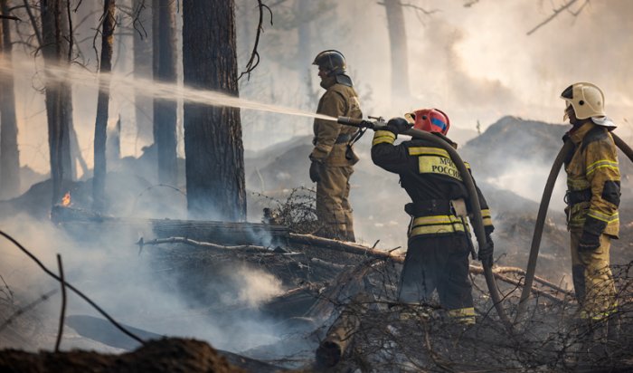 На утро 29 июня в Иркутской области действовало восемь новых лесных пожаров
