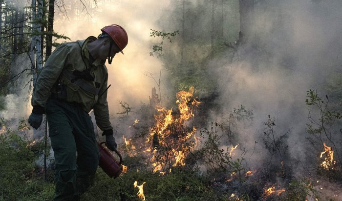 На утро 30 июня в Иркутской области действовало шесть новых лесных пожаров