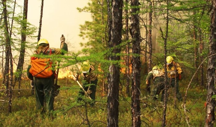 В Приангарье площадь действующих лесных пожаров  сократилась более чем в два раза