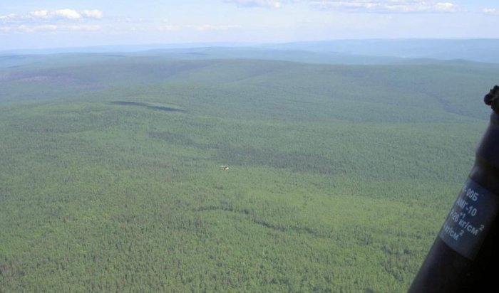 597 га леса горит в Иркутской области