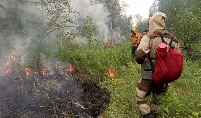 Два лесных пожара на площади 10 га действовали в Иркутской области