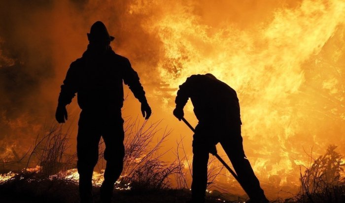 Три лесных пожара действует в Иркутской области