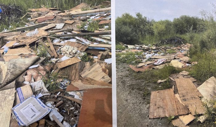 Свалку мусора обнаружили на особо охраняемой территории в Иркутске