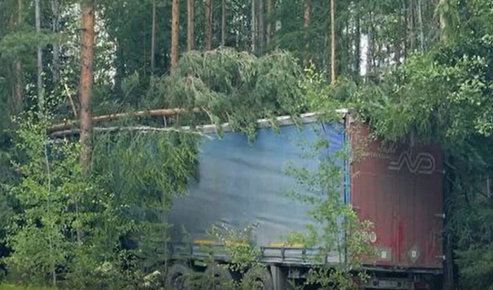 Водитель большегруза погиб на трассе «Вилюй» (Видео)
