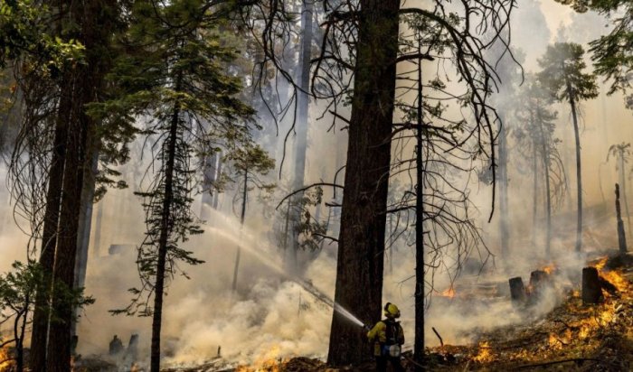 Один лесной пожар действует в Иркутской области