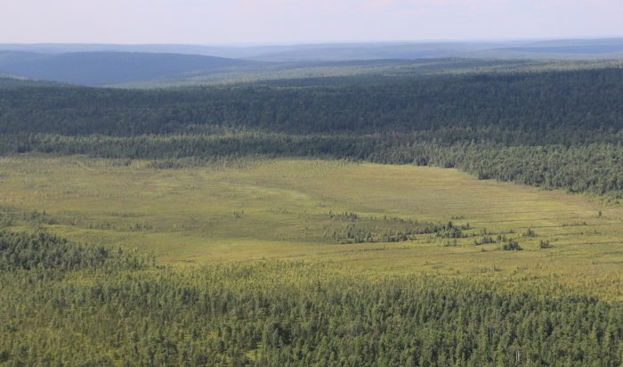819 га леса горит в Иркутской области